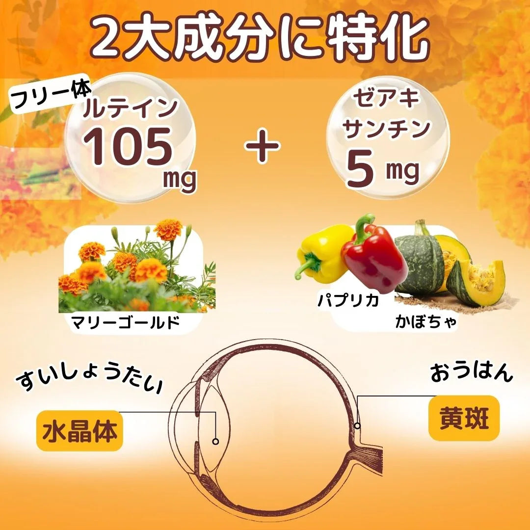 ルテイン 105mg 90粒入 30日分