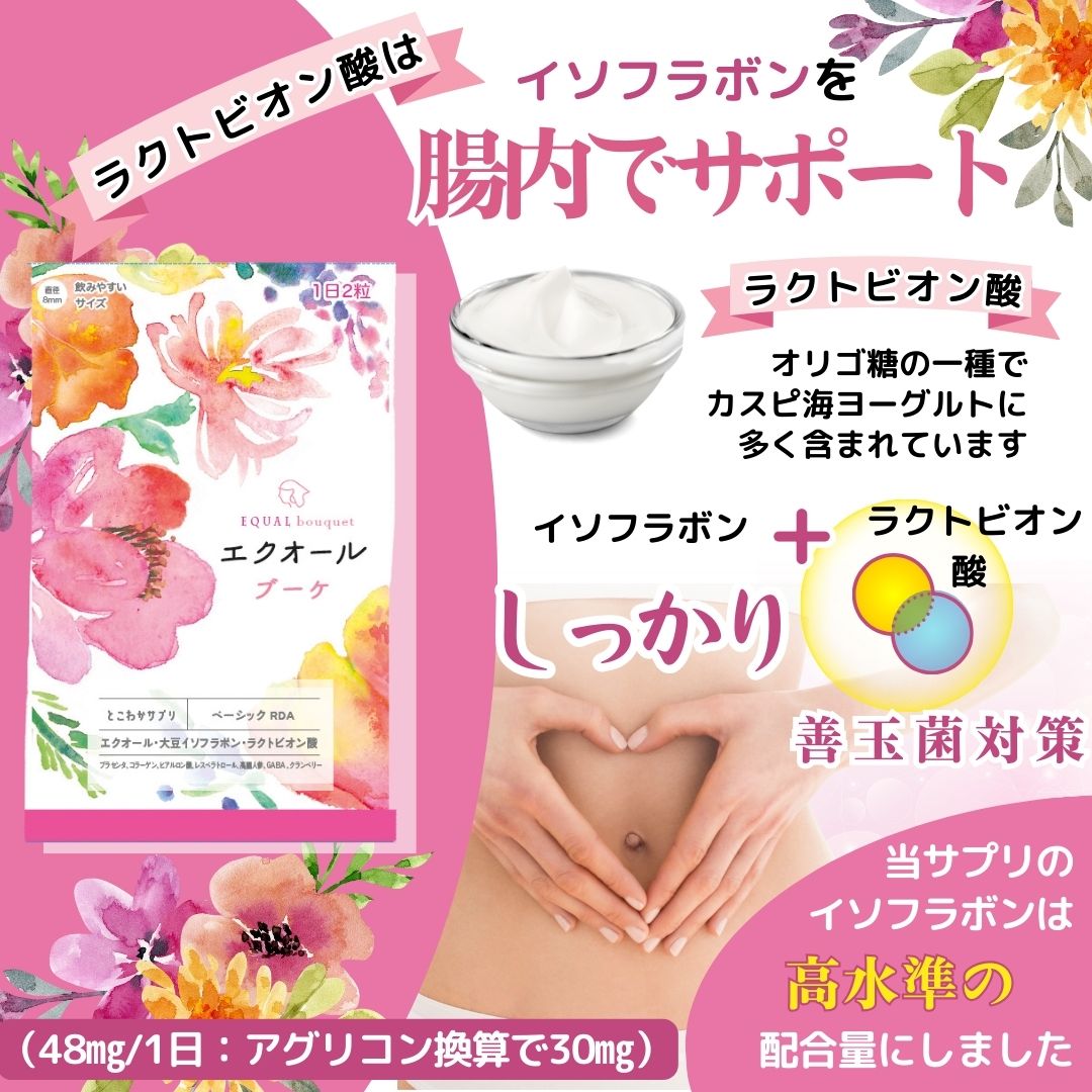 エクオール イソフラボン ラクトビオン酸 60粒入 30日分 更に7つの副原料も配合